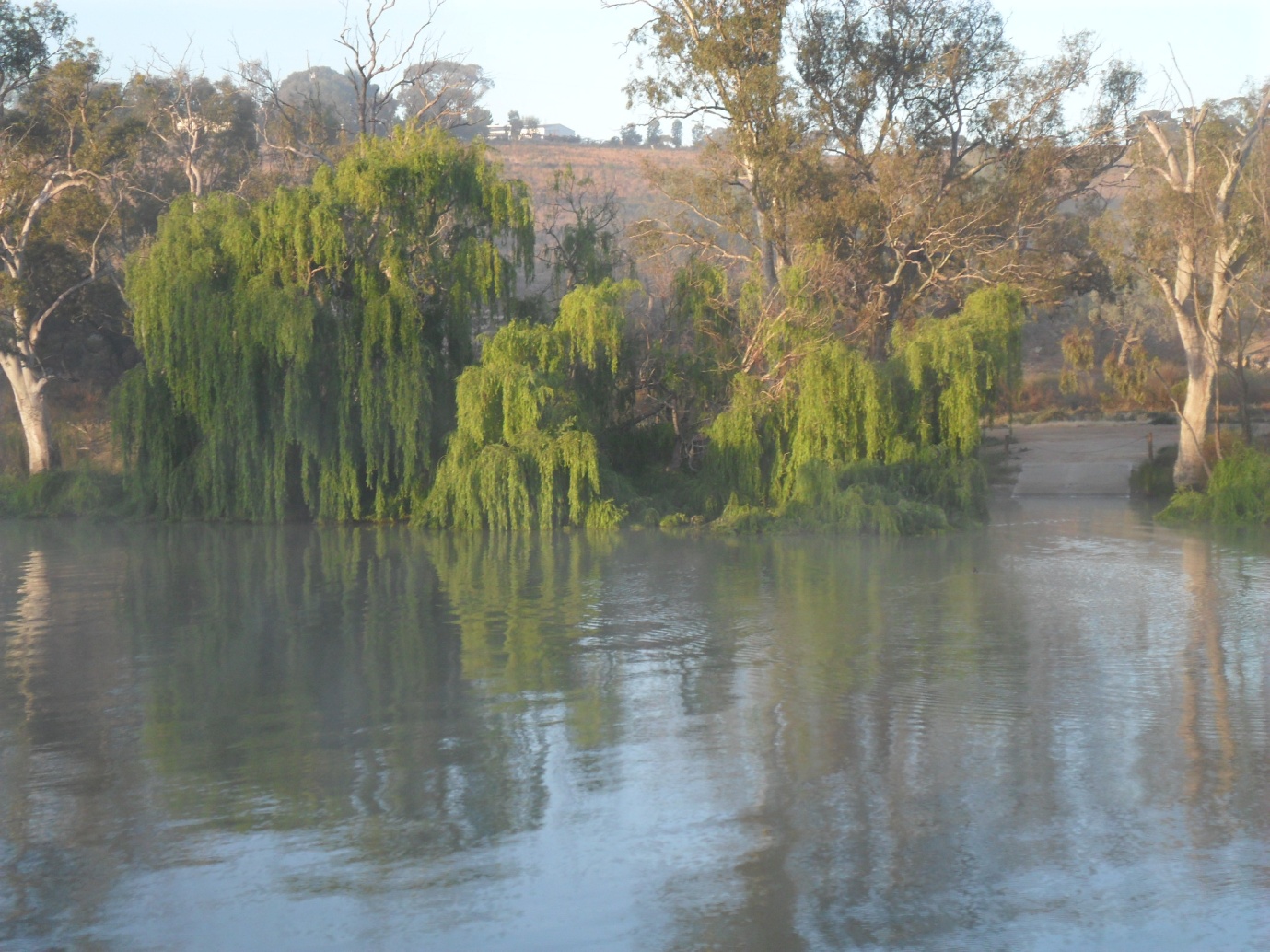 Gisborne New Zealand - photo 8