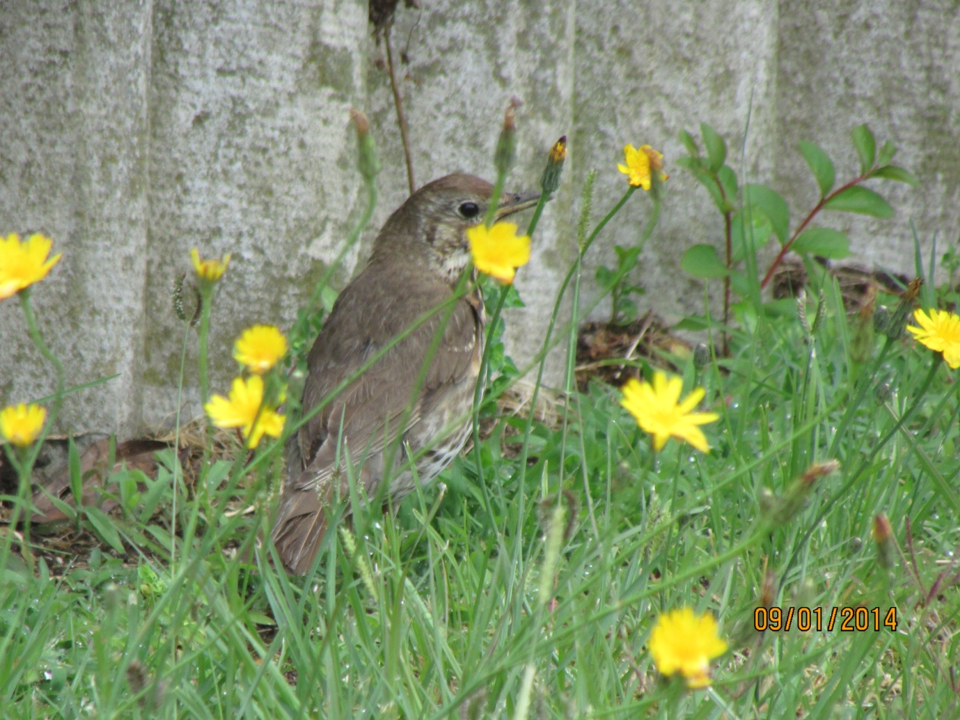 Gisborne New Zealand - photo 9