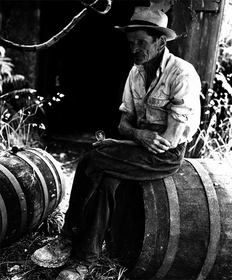 Paul Groshek sitting at his Muaga Vineyards on Candia Road in West Auckland - photo 7