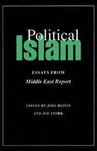 title Political Islam Essays From Middle East Report author - photo 1