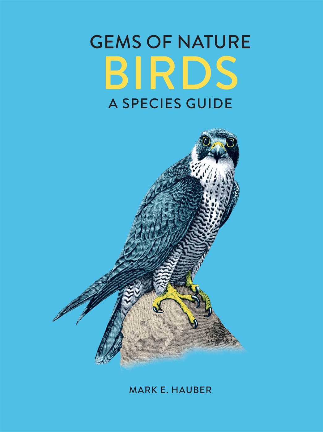 GEMS OF NATURE BIRDS A SPECIES GUIDE MARK E HAUBER - photo 1