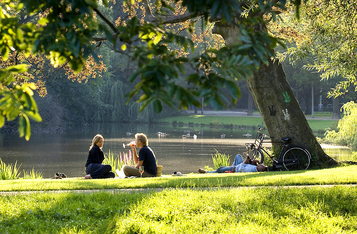 WILL SALTERLONELY PLANET Amsterdams Top Experiences - photo 9