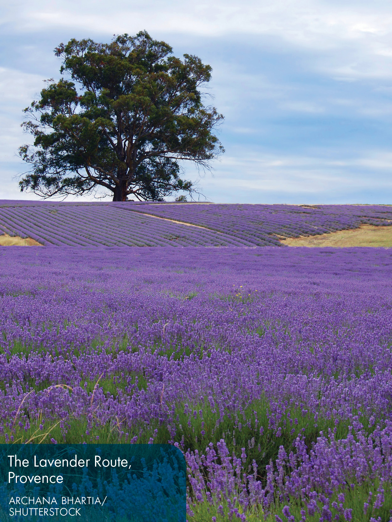 Essential France Maps - photo 11