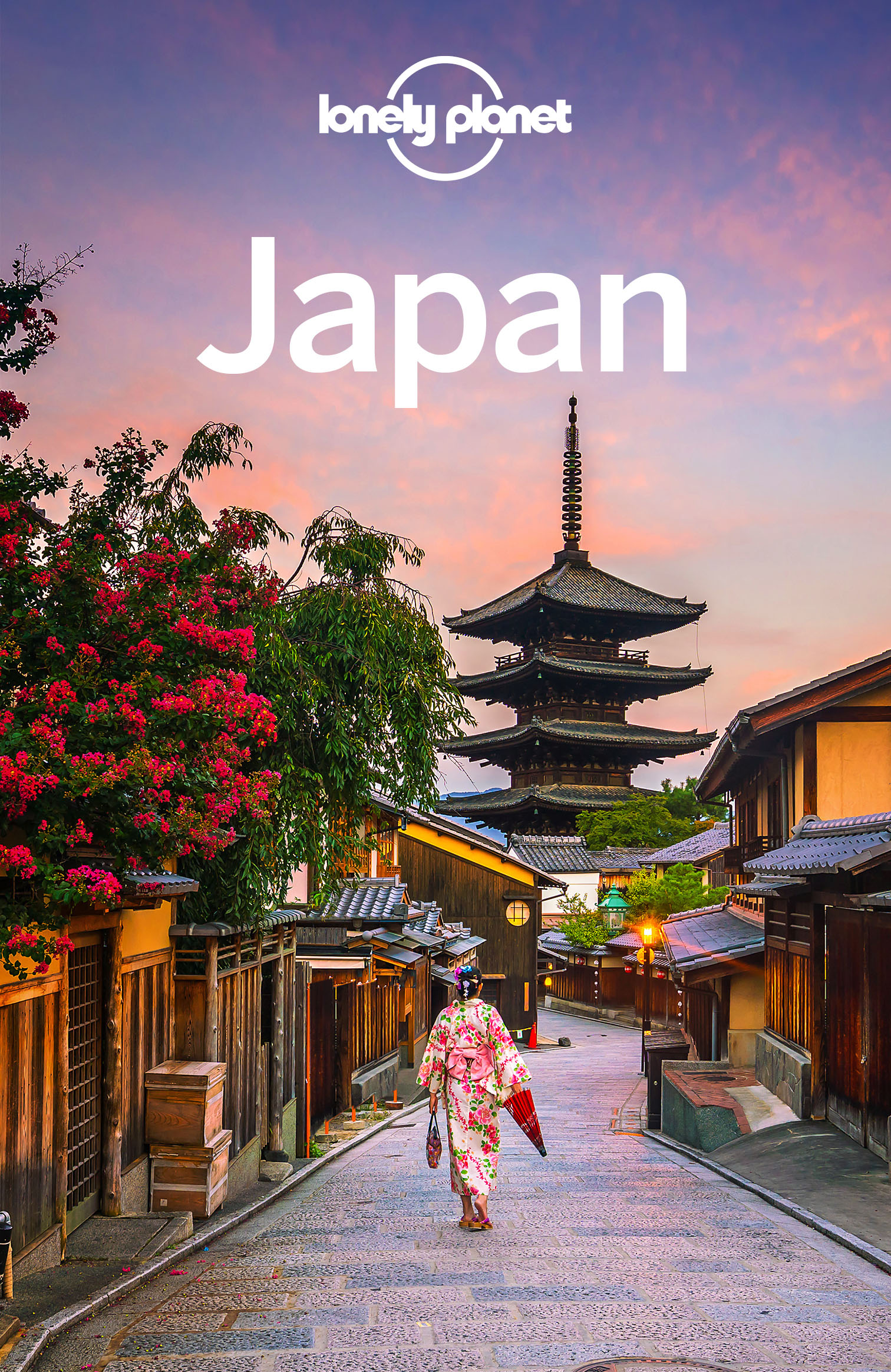 Lonely Planet Japan 17 Travel Guide - image 1