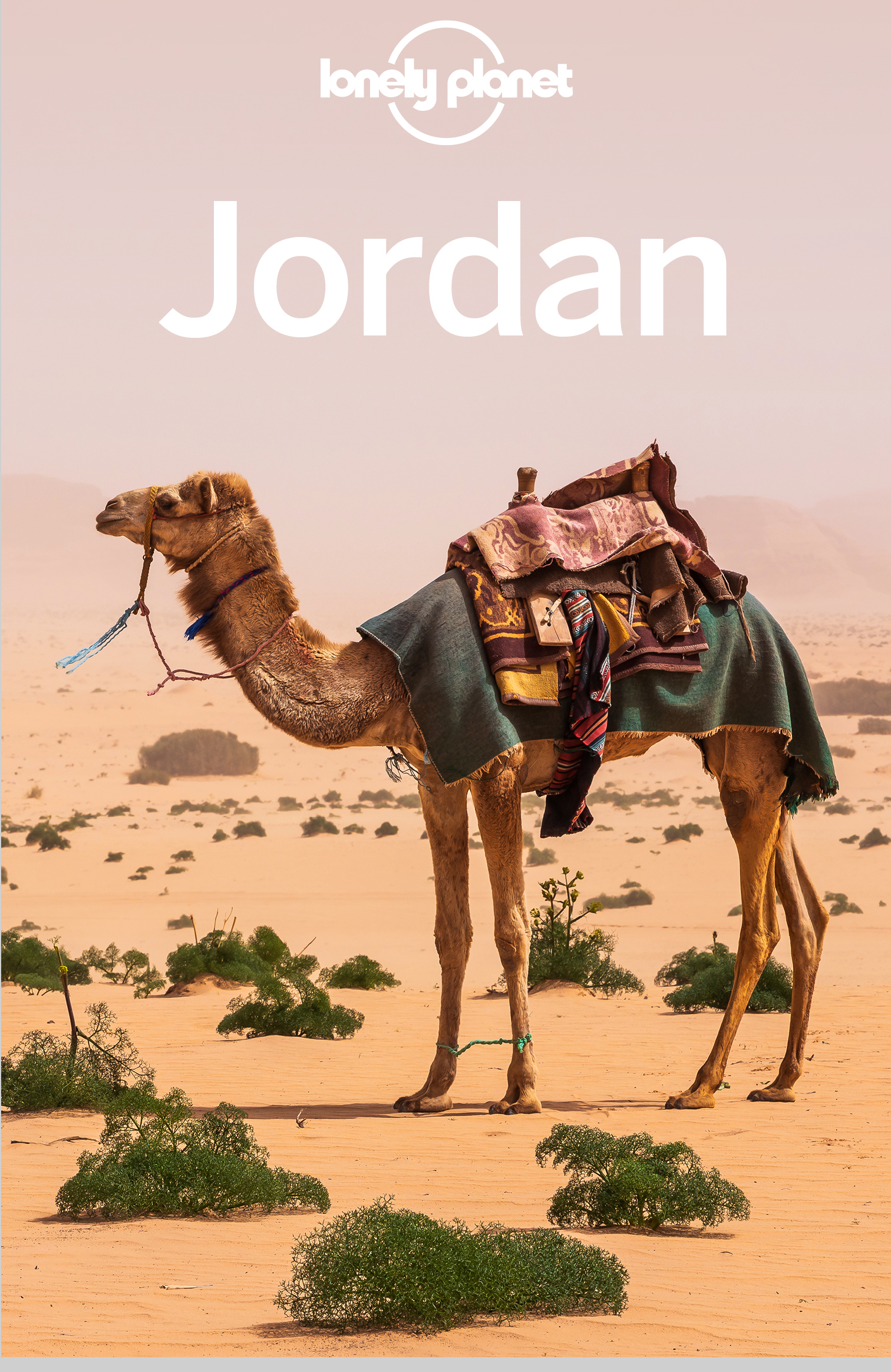 Lonely Planet Jordan 11 Travel Guide - image 1