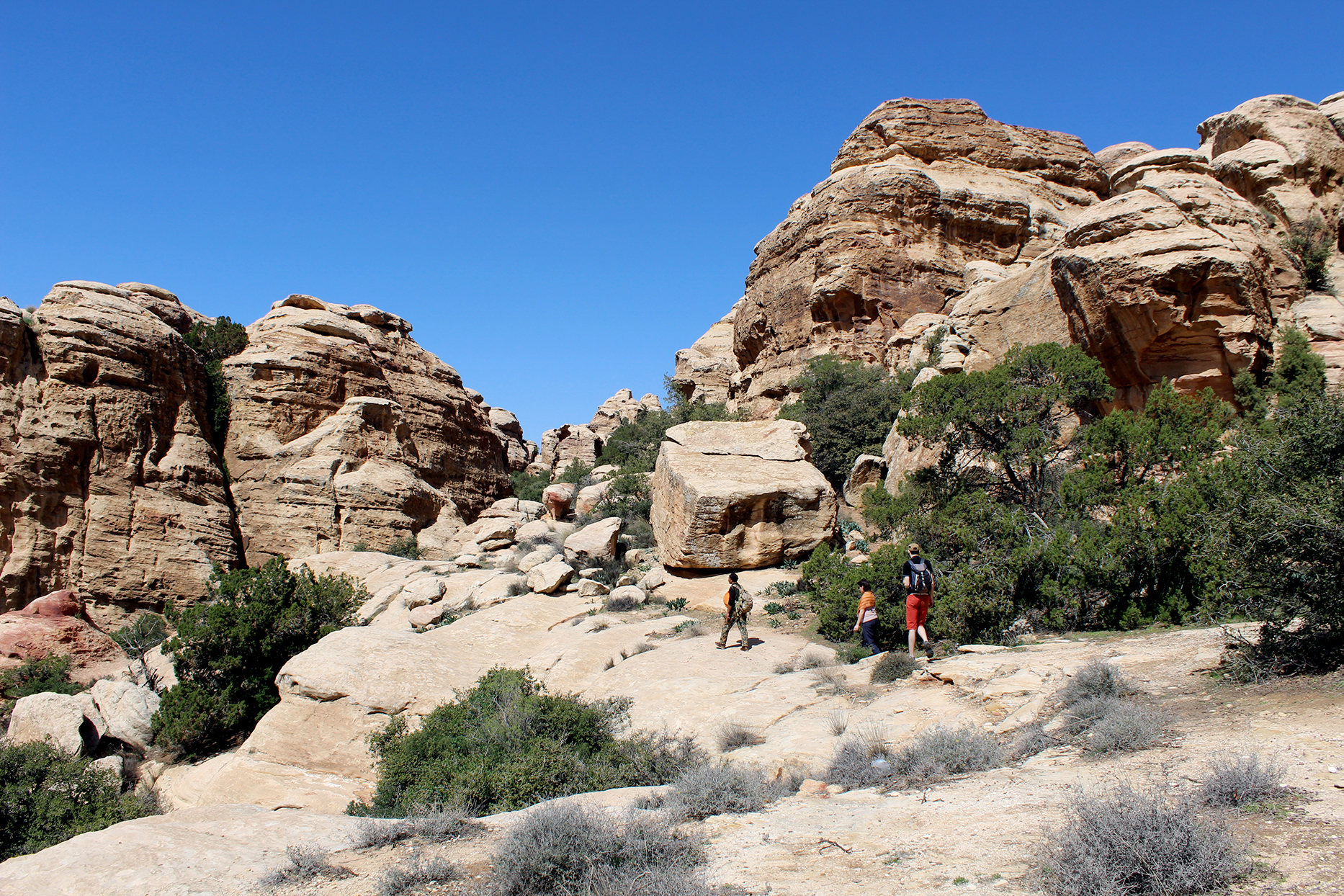 KONONCHUK ALLASHUTTERSTOCK Petra The magic of this intriguing ancient wonder - photo 10