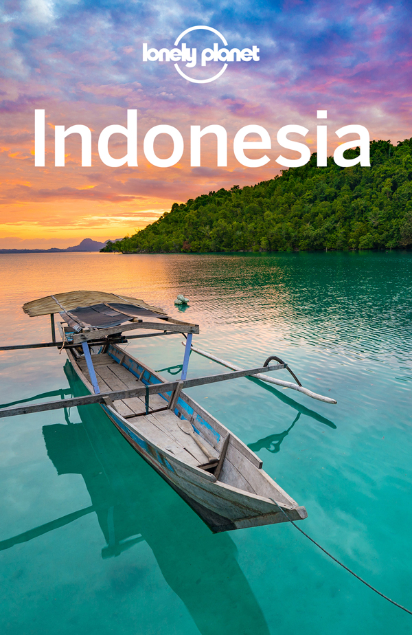 Lonely Planet Indonesia 13 Travel Guide - image 1