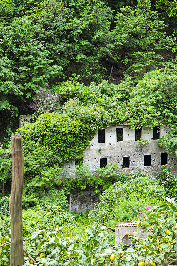 Overgrown ruin Valle delle Ferriere POLEIJPHOTOSHUTTERSTOCK Sentiero dei - photo 13