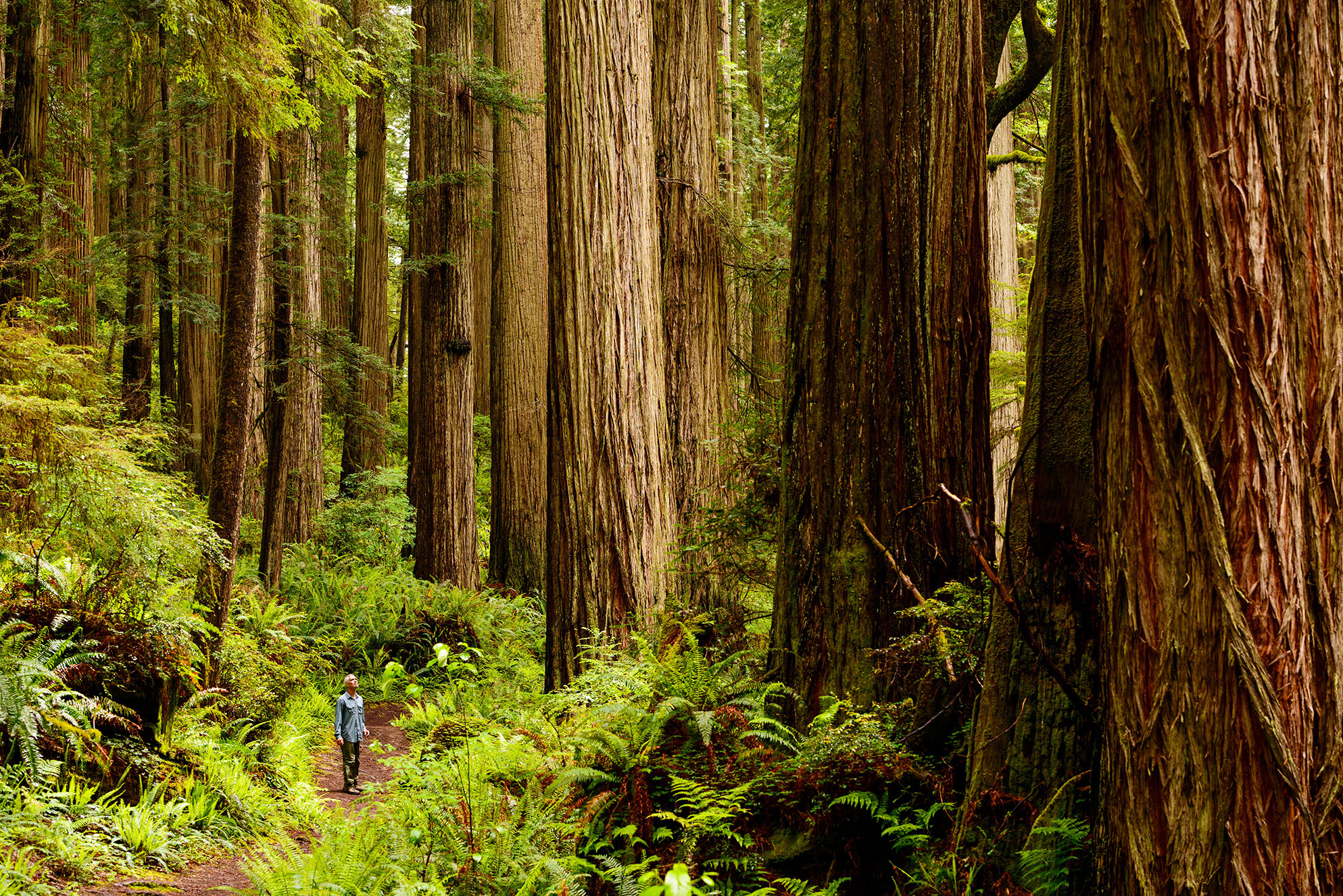 Thunderous waterfalls and soaring granite peaks mark this classic loop as it - photo 6