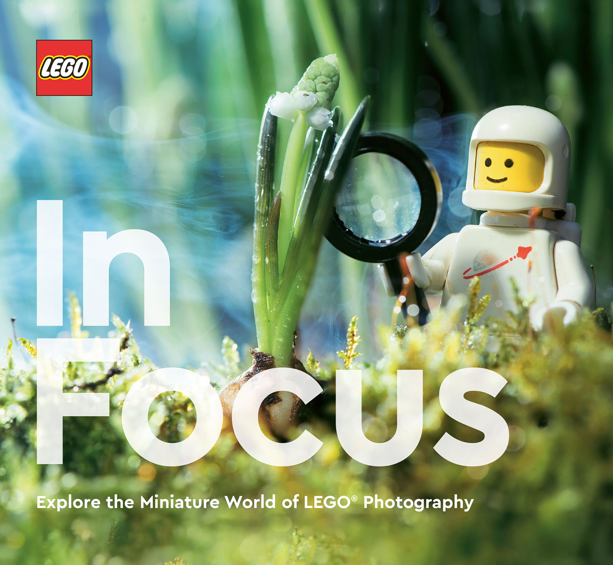 We know that taking LEGO bricks outdoors can help create amazing stories and fu - photo 1