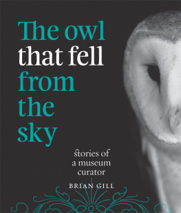 Brian Gill - The Owl That Fell from the Sky