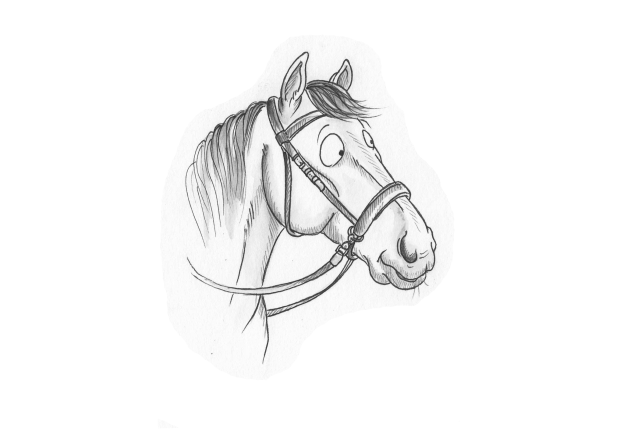The Listenology Guide to Bitless Bridles for Horses - How to choose your first Bitless Bridle for your horse or pony Perfect for Western English horse training - photo 7