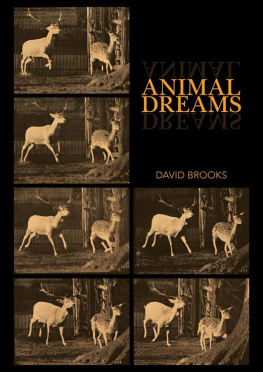 David Brooks - Animal Dreams