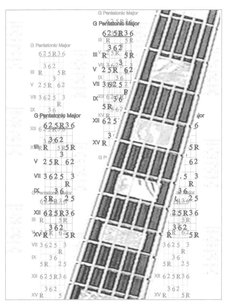 Tale of the Scale Blues Box Basics BY JESSE GRESS W hether they know it - photo 2