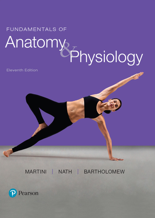 Fundamentals of Anatomy Physiology Eleventh Edition Frederic H Martini - photo 1