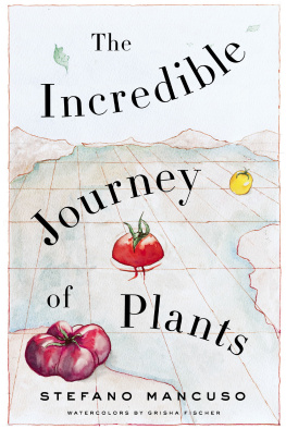 Stefano Mancuso - The Incredible Journey of Plants