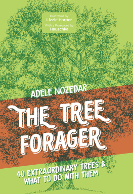 Adele Nozedar The Tree Forager: 40 Extraordinary Trees & What to Do with Them