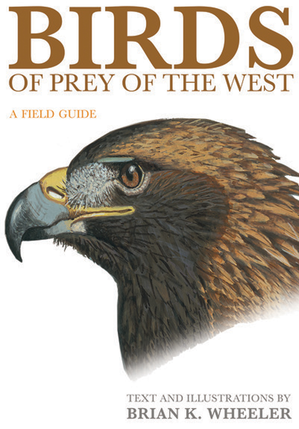 Birds of Prey of the West A Field Guide Illustrations and Text by Brian K - photo 1