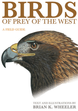 Brian K. Wheeler - Birds of Prey of the West: A Field Guide