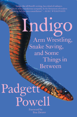 Padgett Powell - Indigo: Arm Wrestling, Snake Saving, and Some Things In Between
