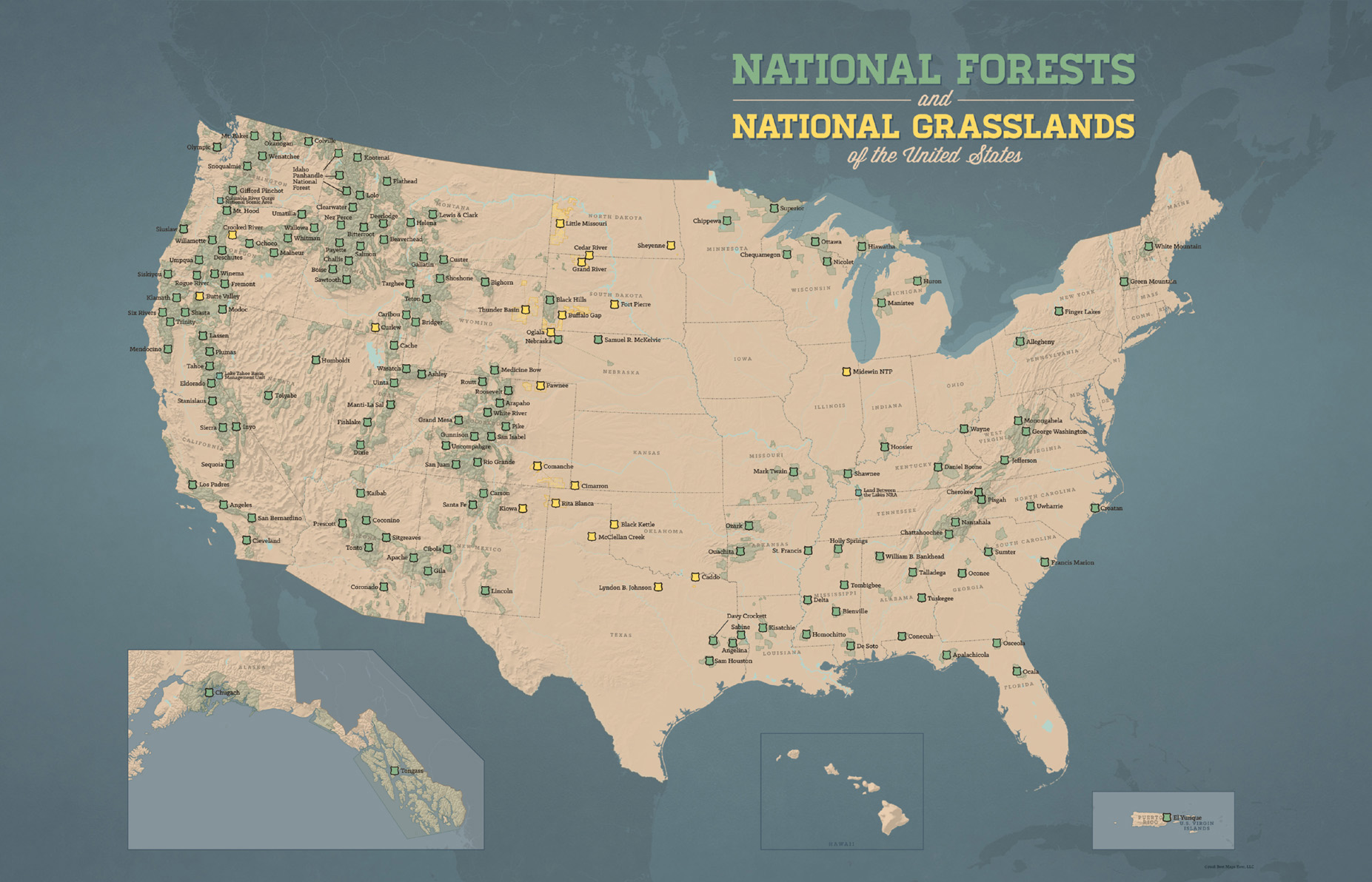 Some individual forests have been administratively combined in recent years - photo 5