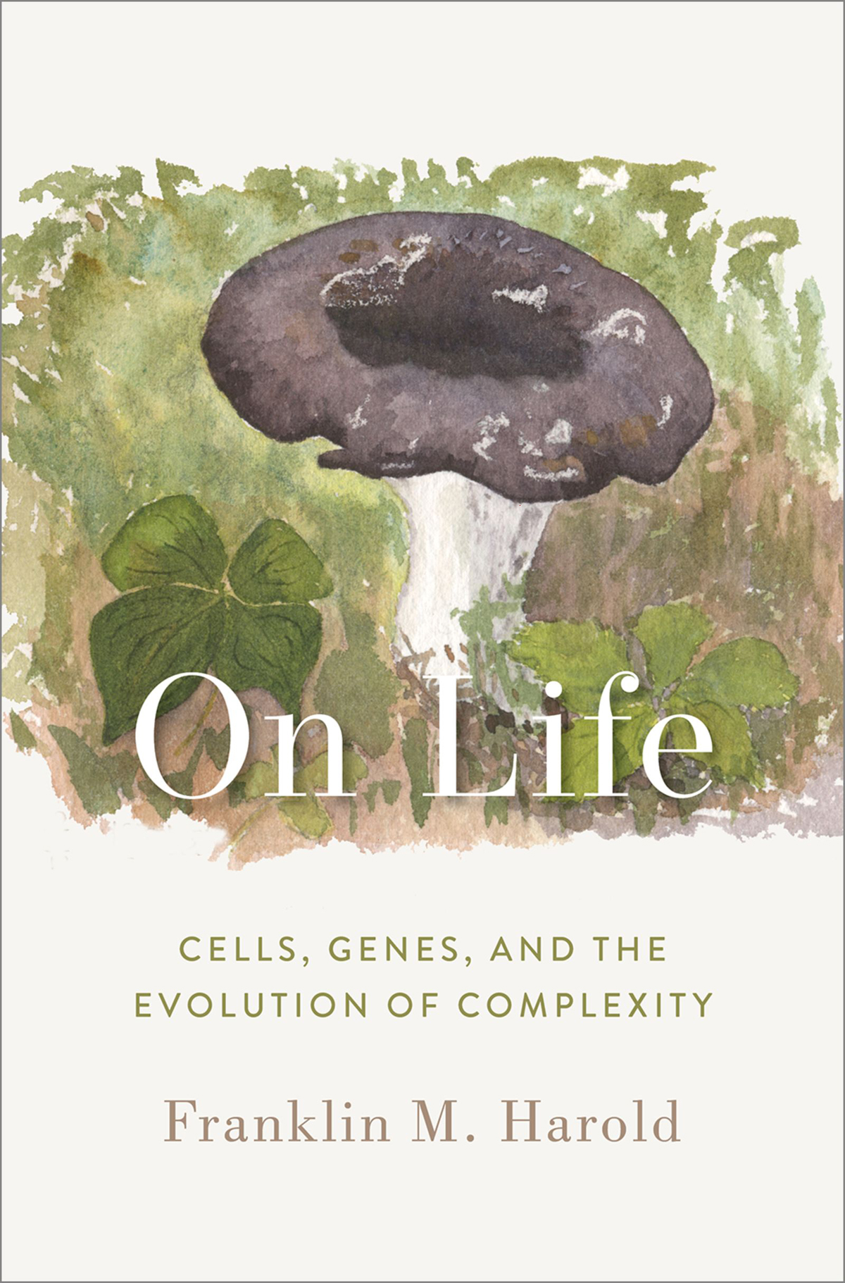 On Life Cells Genes and the Evolution of Complexity - image 1