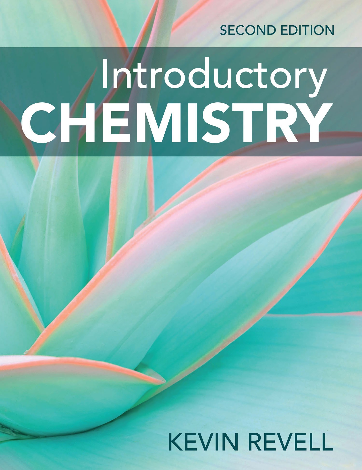 The cover shows agave leaves in pastel colors Text on the cover reads - photo 1