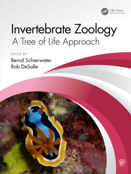 Bernd Schierwater Invertebrate Zoology: A Tree of Life Approach