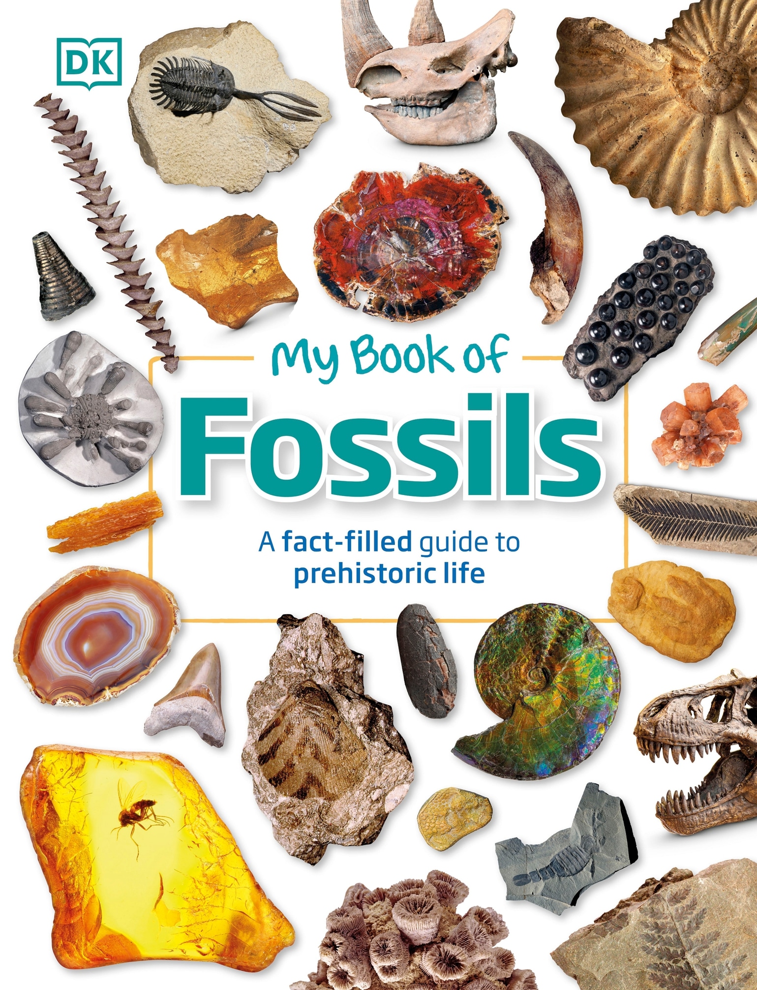 My Book of Fossils Fossils Author Dr Dean Lomax - photo 1