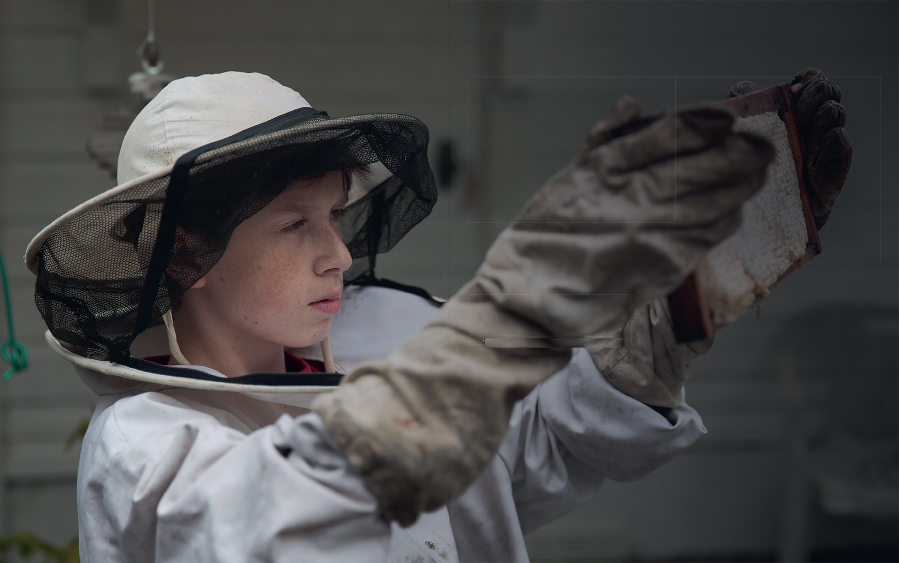 This beekeeper is dressed for success in collecting honey from the hives that - photo 3