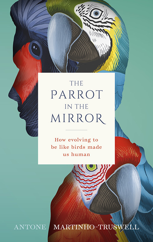 The Parrot in the Mirror How evolving to be like birds made us human - image 1