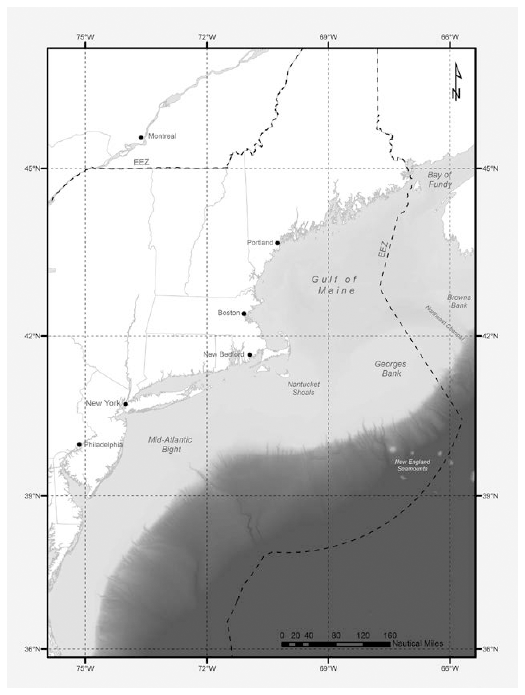 Fishing Grounds off the Northeastern Coast of the United States The Gulf of - photo 3