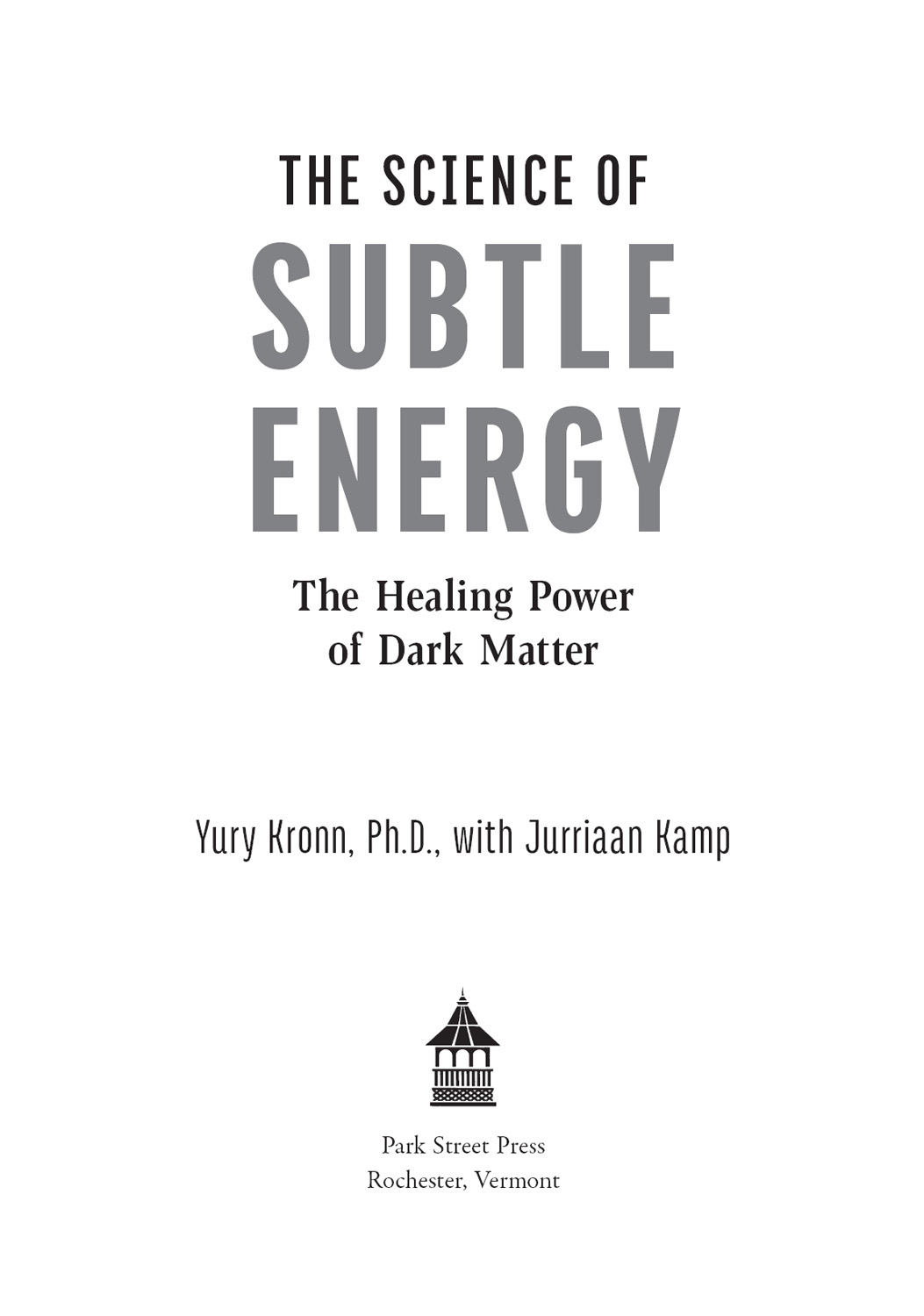 The Science of Subtle Energy The Healing Power of Dark Matter - image 2