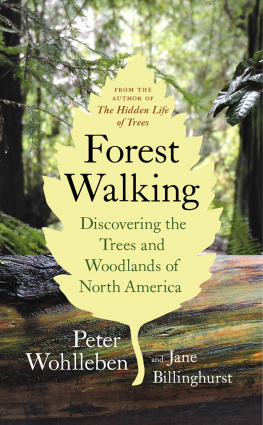 Peter Wohlleben - Forest Walking: Discovering the Trees and Woodlands of North America