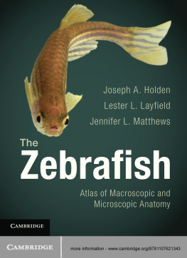 Joseph Holden The Zebrafish: Atlas of Macroscopic and Microscopic Anatomy