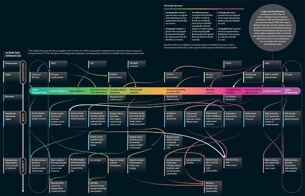 Credit Graphic by Pitch Interactive and Amanda Montaez Source Research by - photo 4