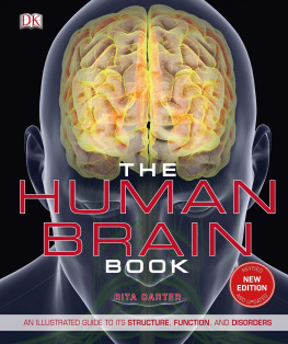 Rita Carter The Human Brain Book: An Illustrated Guide to its Structure, Function, and Disorders