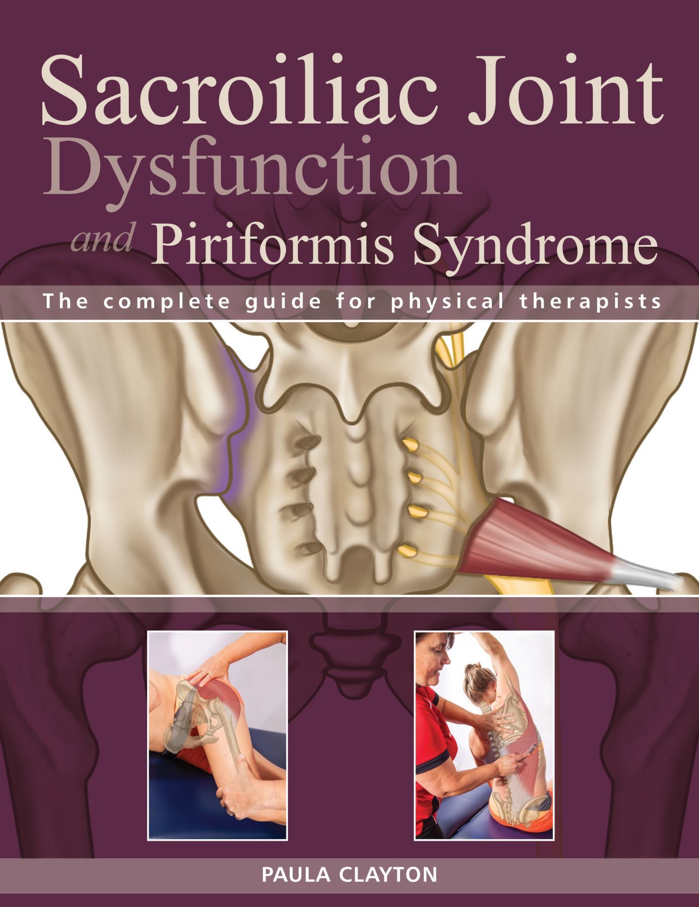 SI Joint Dysfunction and Piriformis Syndrome The Complete Guide for Physical Therapists - image 1