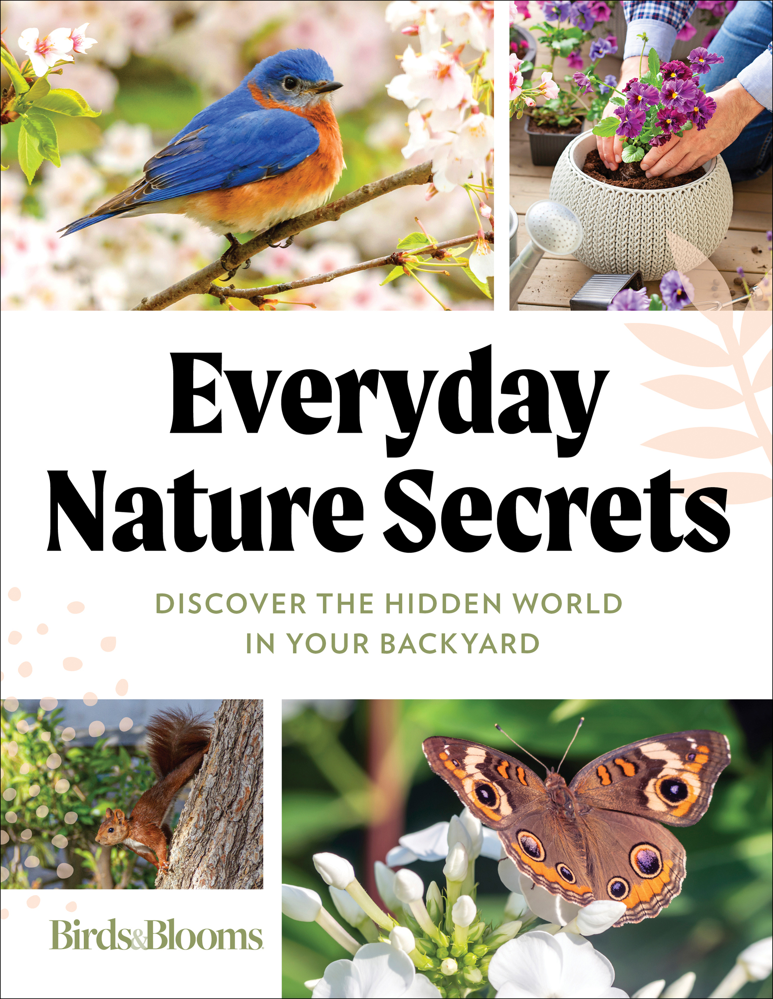 Everyday Nature Secrets Discover the Hidden World in your Backyard BirdsBlooms - photo 1