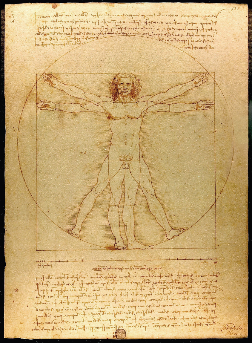 Figure 11 Vitruvian Man Leonardo da Vinci An Introduction to Sacred - photo 9