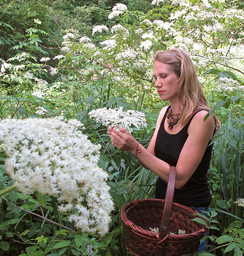 Wildcrafting elderflowers From that point forward I opened my gardens and - photo 7