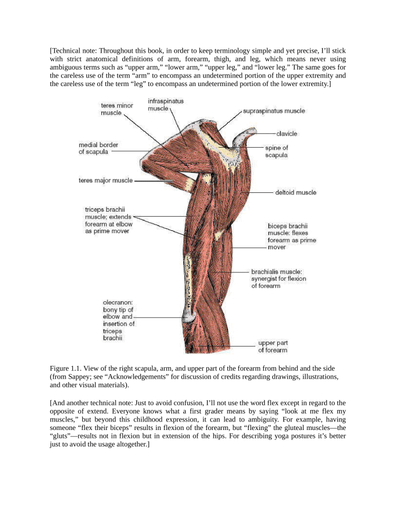 Anatomy of Hatha Yoga Exercise A Guidebook for Trainees Educators as well as Experts - photo 26