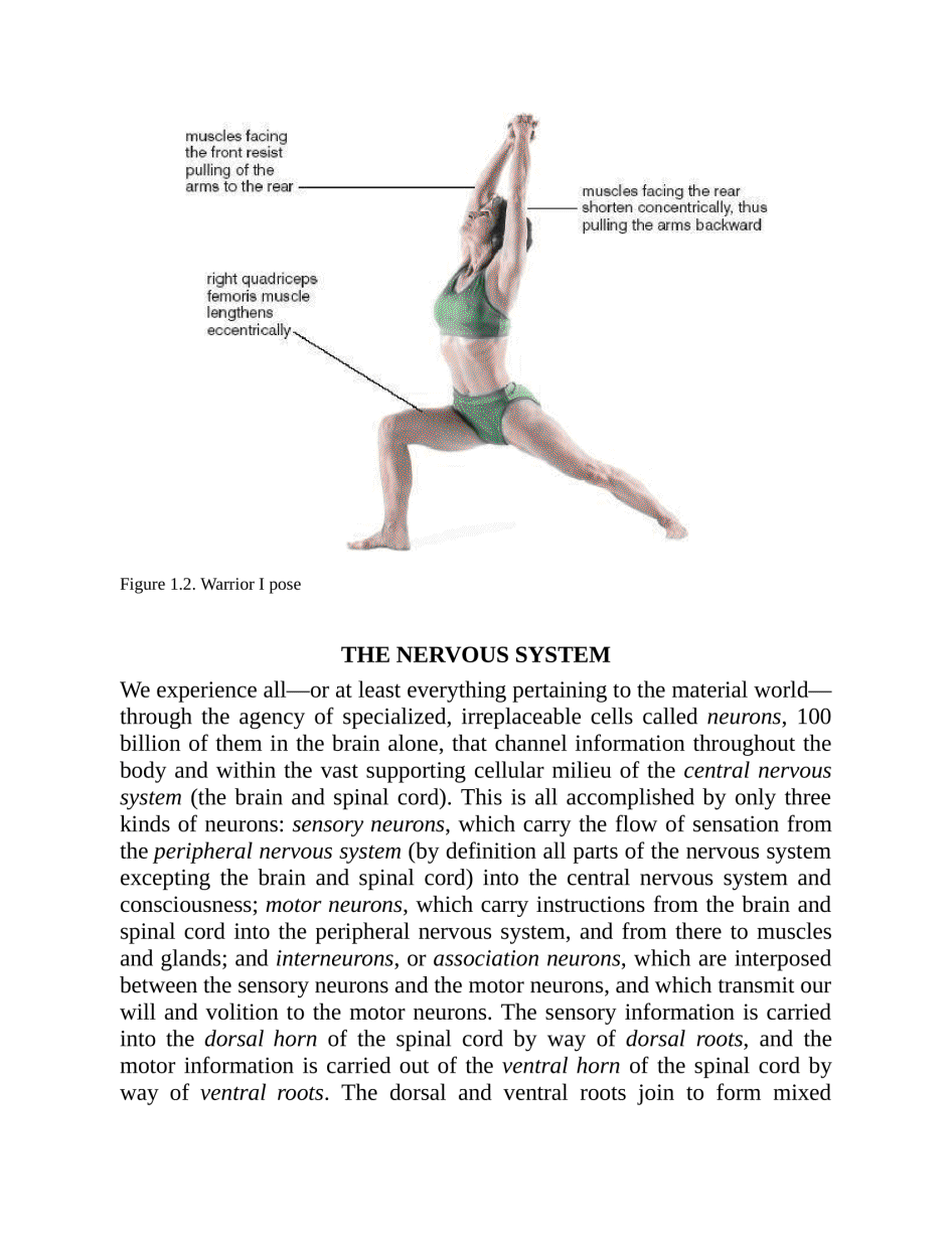 Anatomy of Hatha Yoga Exercise A Guidebook for Trainees Educators as well as Experts - photo 30
