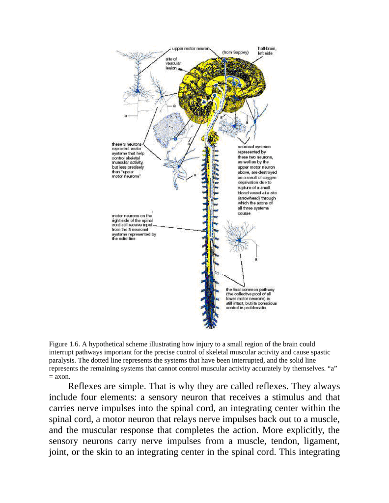 Anatomy of Hatha Yoga Exercise A Guidebook for Trainees Educators as well as Experts - photo 40