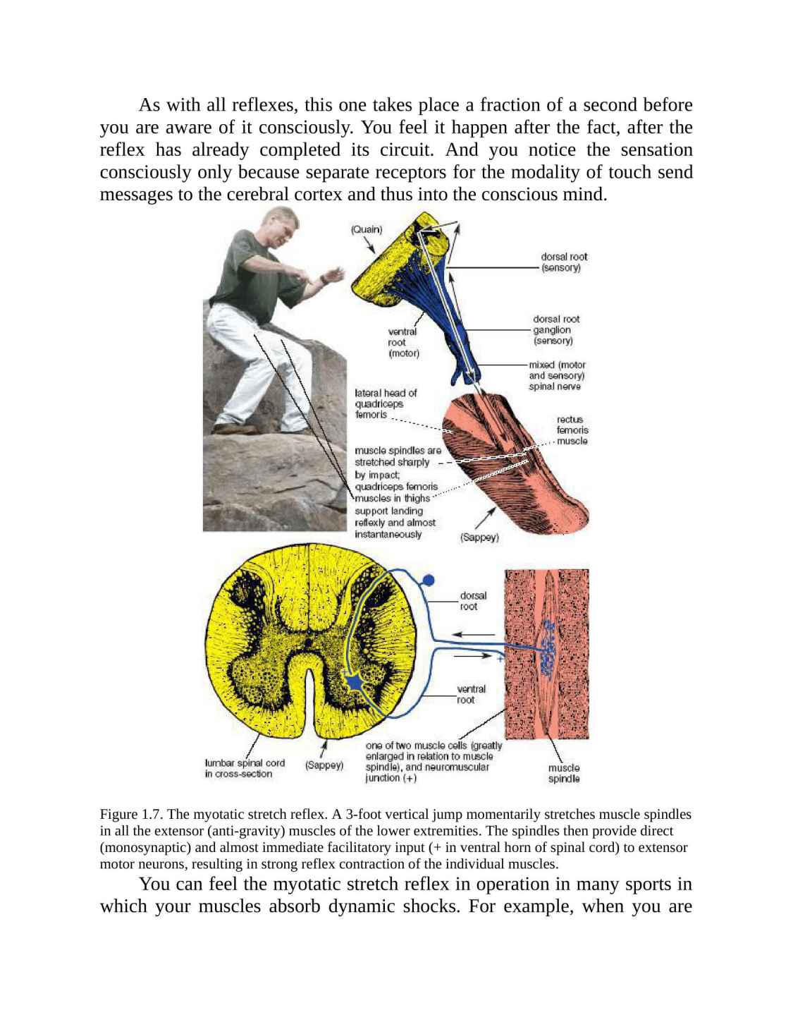 Anatomy of Hatha Yoga Exercise A Guidebook for Trainees Educators as well as Experts - photo 42