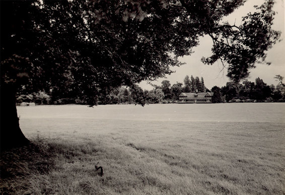 Bletchley Park had a beautiful cricket pitch plus an elegant pavilion that - photo 2