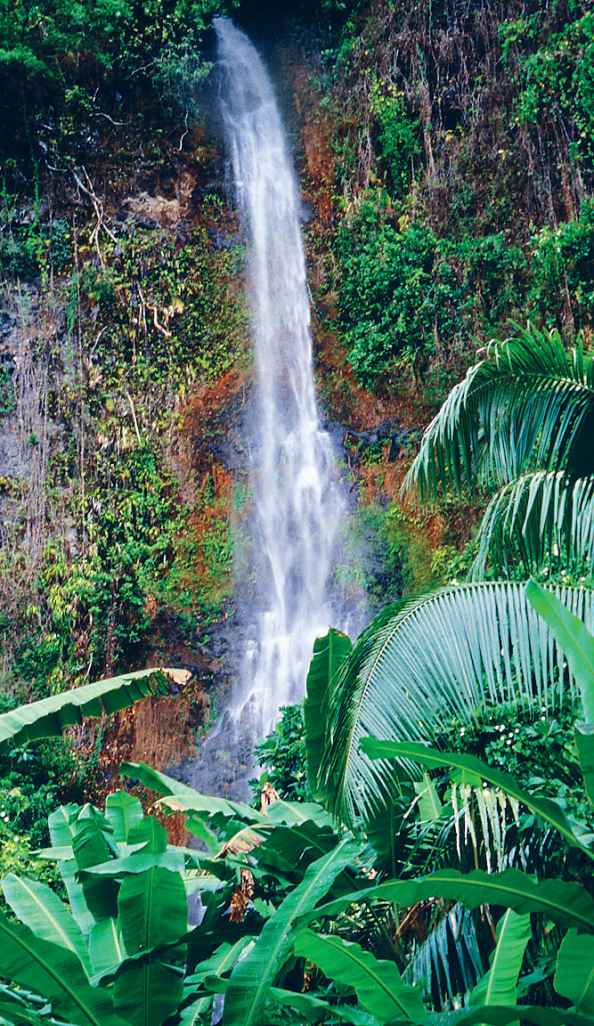 Waterfall at Pueu Tahiti Iti LINDA CHINGLONELY PLANET IMAGES Surfing - photo 10
