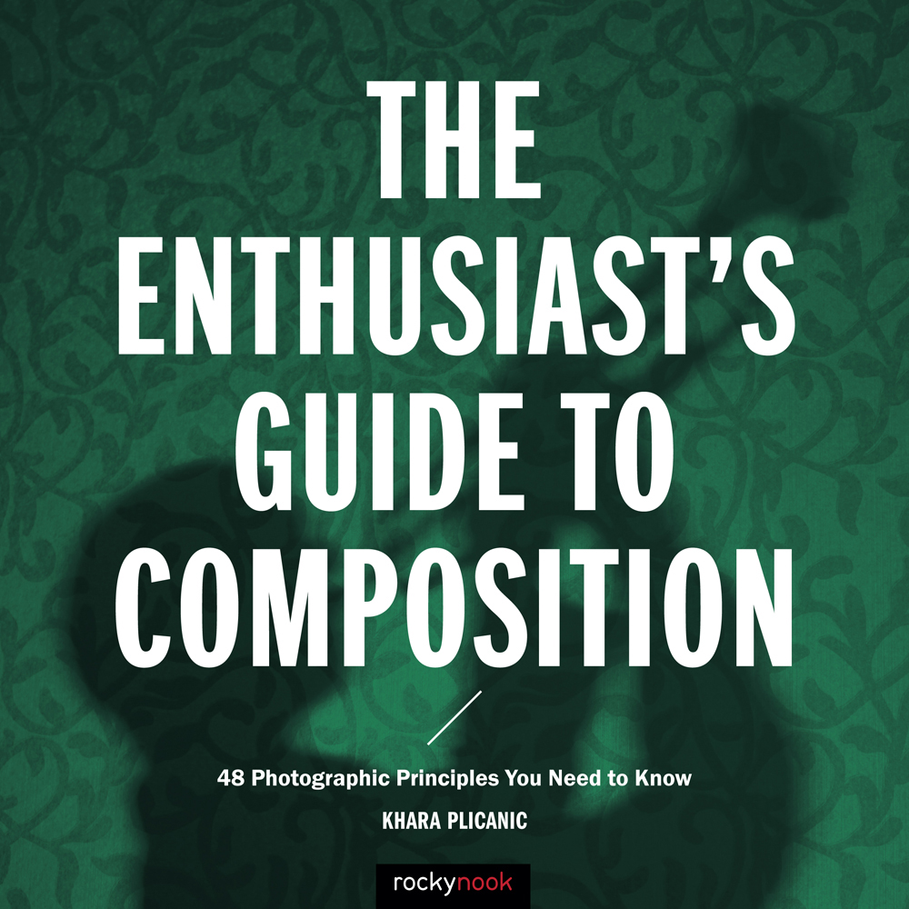 The Enthusiasts Guide to Composition 48 Photographic Principles You Need to Know - image 1