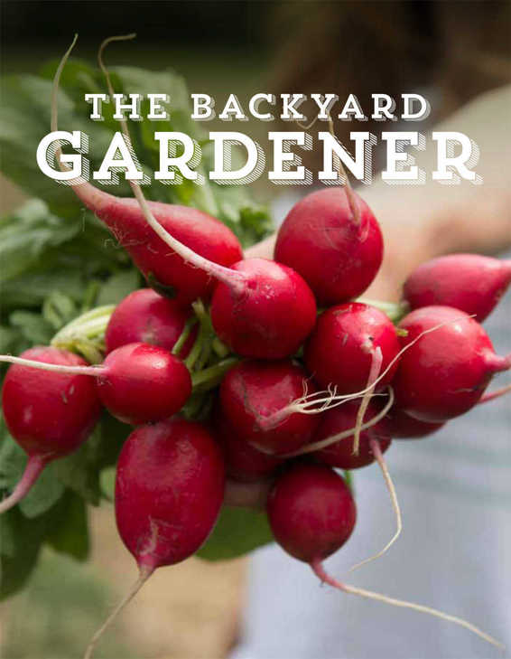 The Backyard Gardener Simple Easy and Beautiful Gardening with Vegetables Herbs and Flowers - image 1