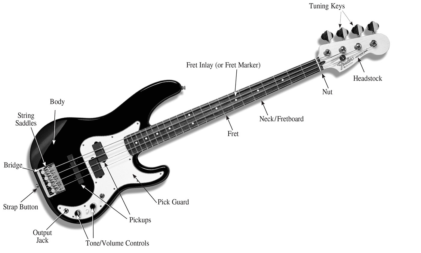 Your bass may have more than one pickup it may not have a pick guard or it - photo 4